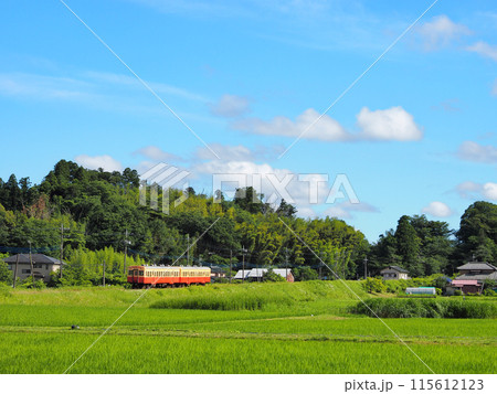 初夏の小湊鉄道 115612123