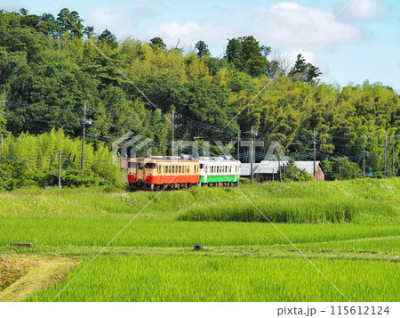 初夏の小湊鉄道 115612124
