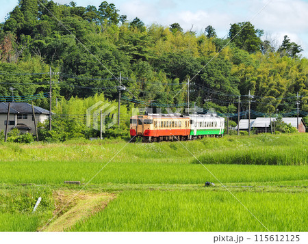 初夏の小湊鉄道 115612125