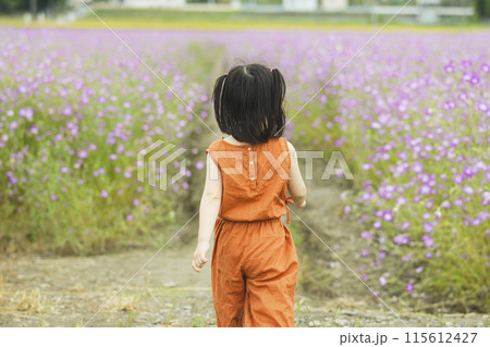 花畑をお散歩するかわいい女の子 花畑をお散歩するかわいい女の子 115612427