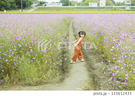 花畑をお散歩するかわいい女の子 115612433