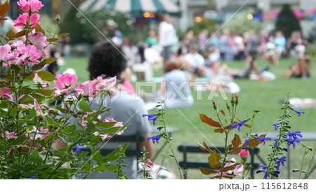 New York City, Manhattan Midtown Bryant Park with Public library, 42 street and Fifth 5 avenue, USA. 115612848