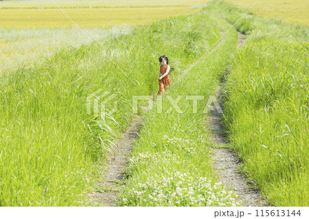 草原を走るかわいい女の子 草原を走るかわいい女の子 115613144