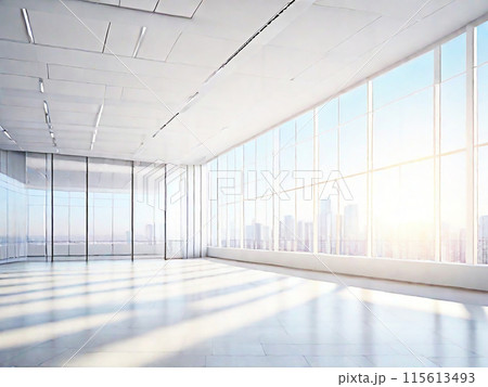 Empty blank room,hall open space interior. Business conference company background. with sunlight at the window. blurred city at the window background. 115613493