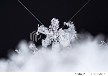 photo real snowflakes during a snowfall, under natural conditions at low temperature photo real snowflakes during a snowfall, under natural conditions at low temperature 115613853