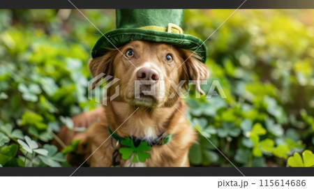 A brown dog wearing a green leprechaun hat and a shamrock-shaped collar sits in a patch of leaves 115614686