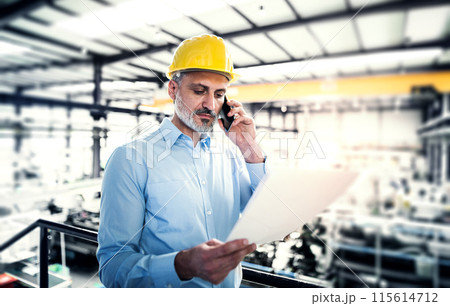 Portrait of project manager standing in modern industrial factory, phone calling. Manufacturing facility with robotics, robotic arms and automation. Storing products and materials in warehouse. 115614712