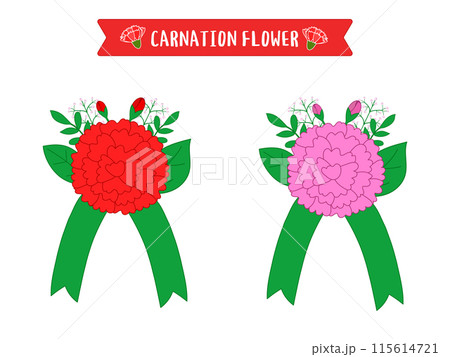 Carnation Flower Illustration Design 115614721