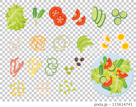 一套新鮮沙拉配料和成品沙拉 115614741