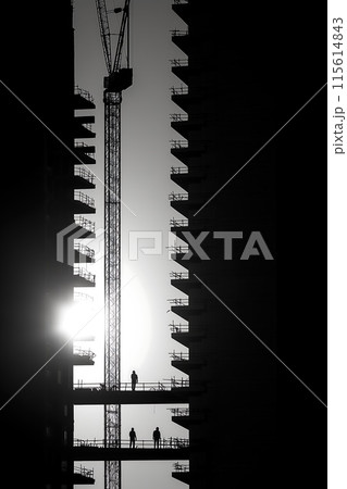 Crane builds a building, construction site, silhouette photo Crane builds a building, construction site, silhouette photo 115614843