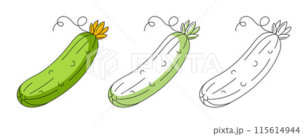 Cucumber, colorful and line greens icons set. Farm vegetable vector outline icon, monochrome and color illustration. Healthy nutrition, organic food, vegetarian product. For logo, coloring, sticker 115614944