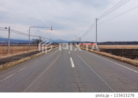 一直線に伸びる道路(北海道士幌町) 一直線に伸びる道路(北海道士幌町) 115615276