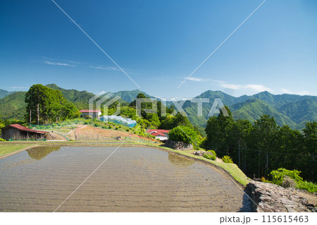 果無集落(小辺路) 【奈良県十津川村】 果無集落(小辺路) 【奈良県十津川村】 115615463