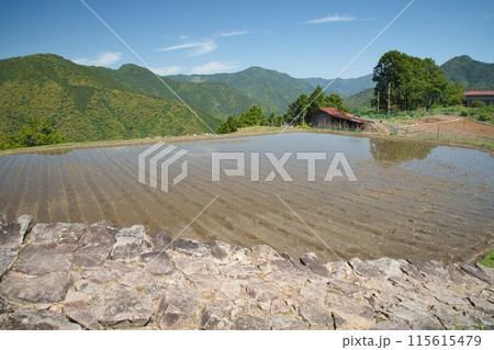 果無集落(小辺路) 【奈良県十津川村】 果無集落(小辺路) 【奈良県十津川村】 115615479