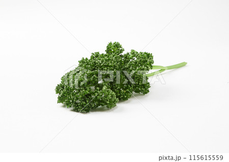 パセリ 115615559
