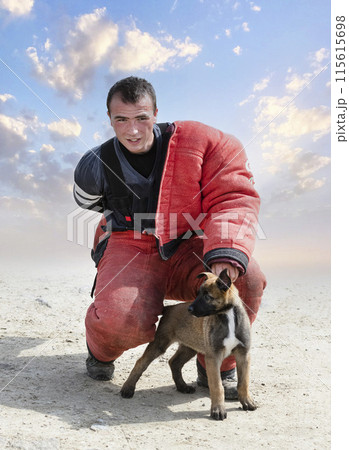 puppy malinois and trainer puppy malinois and trainer 115615698
