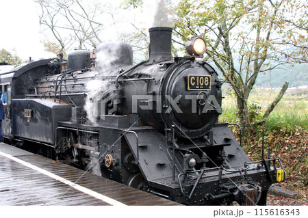 C108型で唯一現存する車両。大井川鉄道で営業運転 115616343