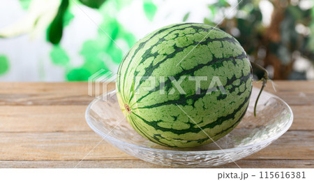 スイカ ( 小玉スイカ ) スイカ ( 小玉スイカ ) 115616381