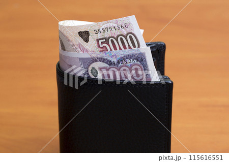 Old Argentine australes in the black wallet 115616551