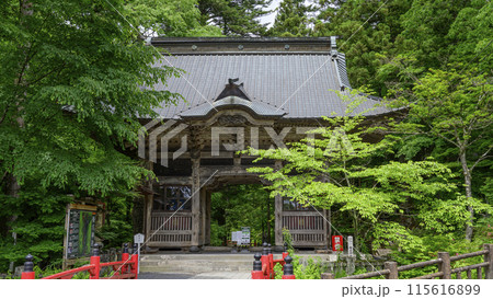 新緑に包まれた榛名神社の山門 新緑に包まれた榛名神社の山門 115616899