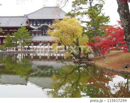 秋の奈良公園 115617294