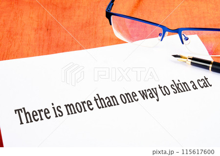 There is more than one way to skin a cat text an inscription on a white sheet on the table near glasses and a fountain pen 115617600