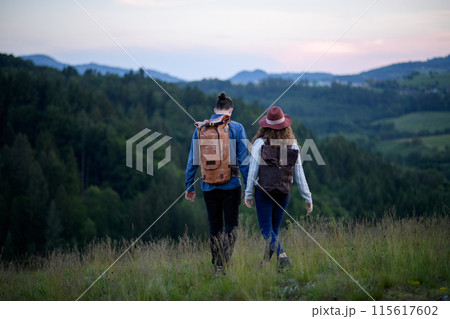 Travellers couple hiking on trail in nature with backpacks, during sunset. Young tourist spending summer vacation oudoors, holding hands. Travellers couple hiking on trail in nature with backpacks, during sunset. Young tourist spending summer vacation oudoors, holding hands. 115617602