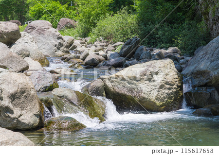 【初夏の道志川とゴリラ岩】 115617658