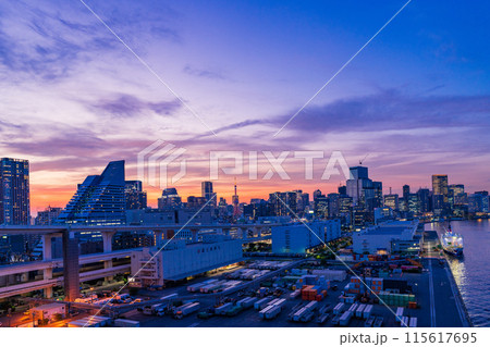(東京都)レインボーブリッジ北側遊歩道からの眺める芝浦・日の出・竹芝埠頭方面 夕景 (東京都)レインボーブリッジ北側遊歩道からの眺める芝浦・日の出・竹芝埠頭方面 夕景 115617695