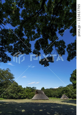 <千葉県>加曾利貝塚 <千葉県>加曾利貝塚 115617705