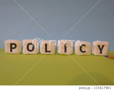 POLICYのアイキャッチ画像 115617961
