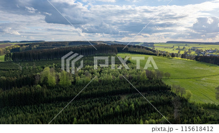 Aerial View of Forested Landscape and Farmlands in Hautes Fagnes, Belgium 115618412