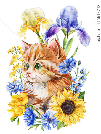 Cat Watercolor, cute ginger kitten and flowers. Sunflower, cornflower, iris and Kitty. floral postcard baby animal 115618712