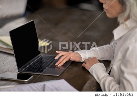 Cropped Shot Of Businesswoman Typing On Laptop Keyboard, Working Online And Surfing Web Sitting At Desk In Office. Side View Of Mature Manager Lady Browsing Internet At Workplace. Selective Focus 115619562
