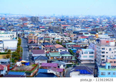 上空から俯瞰した、地方都市の住宅街の風景 115619628