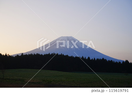 日本 山梨県 富士宮市 朝霧高原 朝の富士山 115619791