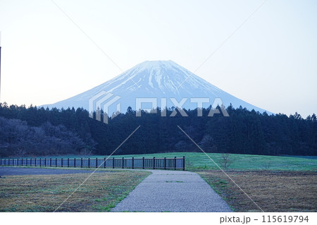 日本 山梨県 富士宮市 朝霧高原 朝の富士山 115619794