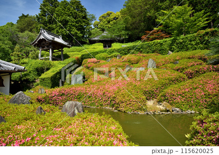 林昌寺(法林の庭) 【大阪府泉南市信達岡中】 林昌寺(法林の庭) 【大阪府泉南市信達岡中】 115620025
