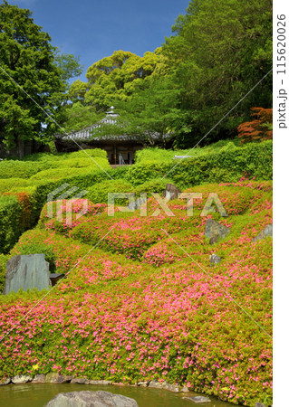 林昌寺(法林の庭)    【大阪府泉南市信達岡中】 115620026