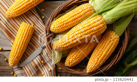 Fresh corn cobs on wooden background, organic vegetable harvest concept. 115620441