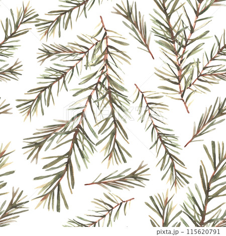 Pine or fir tree branches seamless pattern. Spruce evergreen with needles Winter forest watercolor Christmas tree twig painted illustration for fabric, wallpaper wrapping paper on isolated background. 115620791