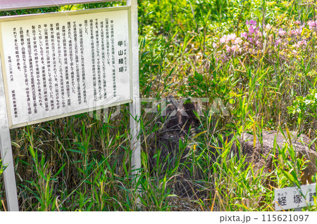 黒田官兵衛ゆかりの地、国府山城をハイキング観光(兵庫県姫路市飾磨区妻鹿)※作品コメント欄に撮影位置 黒田官兵衛ゆかりの地、国府山城をハイキング観光(兵庫県姫路市飾磨区妻鹿)※作品コメント欄に撮影位置 115621097