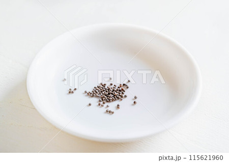 野菜のたね 青じそ 野菜のたね 青じそ 115621960