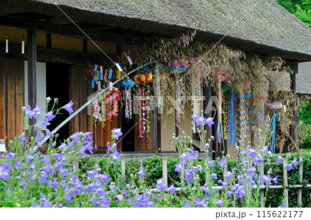 古民家の庭先の七夕 115622177