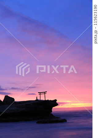 【静岡県】白濱神社・大明神岩の赤鳥居　夜明け 115623190