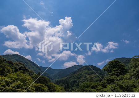 山の上に浮かぶ白い雲《自然・風景素材》 115623512