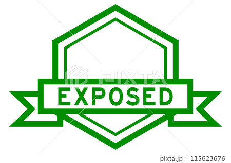 Vintage green color hexagon label banner with word exposed on white background 115623676