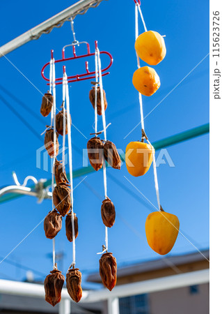 天日干しをする干し柿 柿 渋柿 天日干しをする干し柿 柿 渋柿 115623726