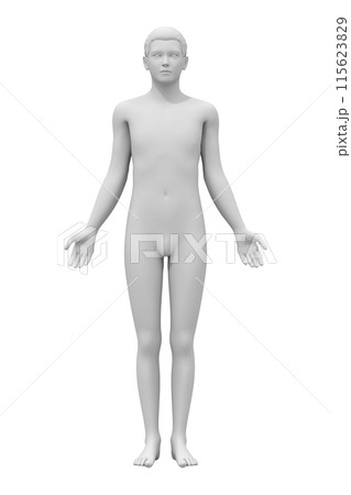 男性の体, 3D モデル, 正面 115623829