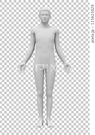 男性の体, 3D モデル, 正面 115623829